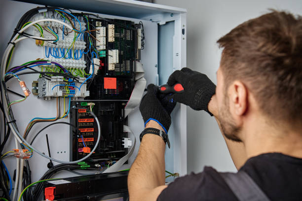 Licensed Electrical Panel Upgrade service in Rockwood, MI - No Joke electrician